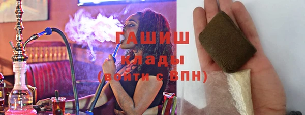 молекула духа Новозыбков