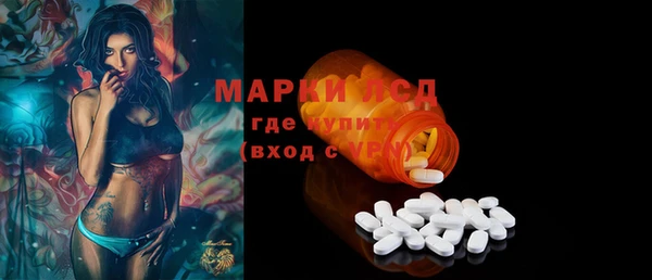 молекула духа Новозыбков