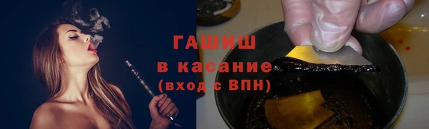 индика Нефтекумск