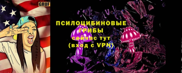 индика Нефтекумск