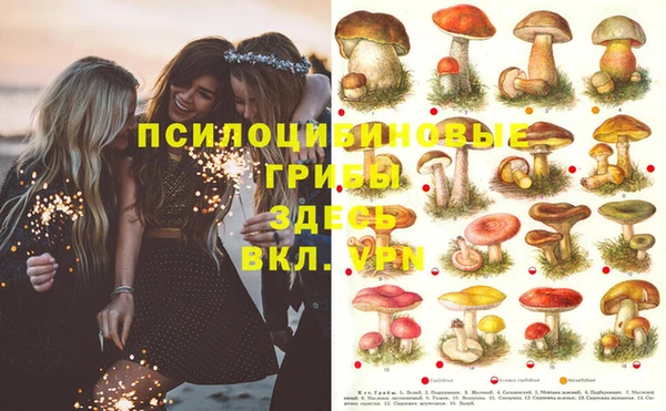 спайс Нефтегорск