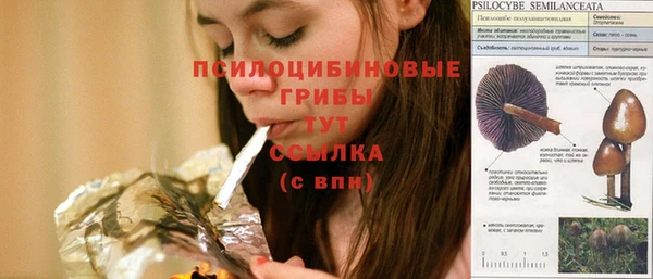 твердый Ступино