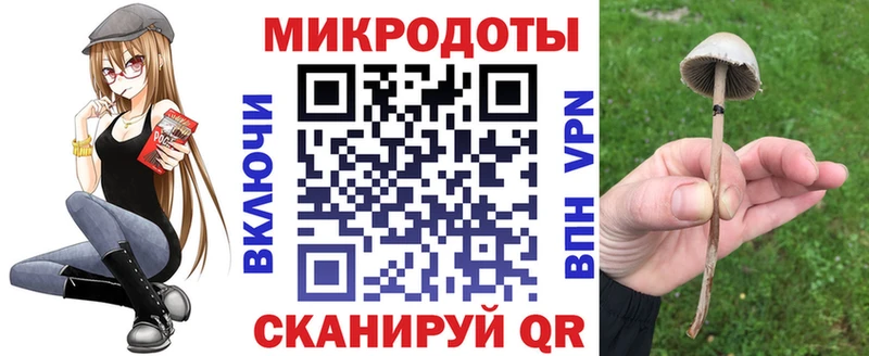 мега как войти  Макушино  Галлюциногенные грибы Magic Shrooms 