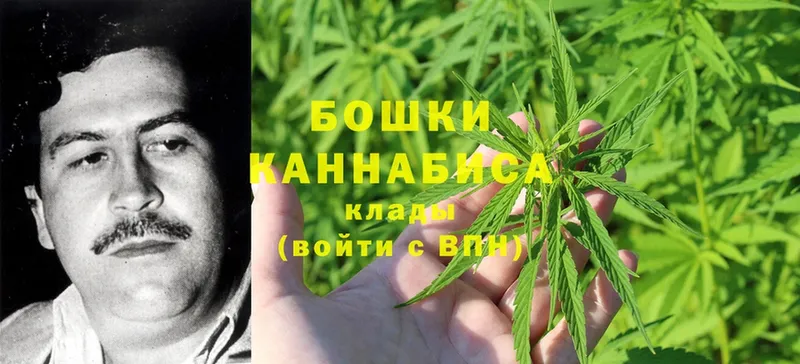 хочу   ссылка на мегу ссылки  Конопля White Widow  Макушино 